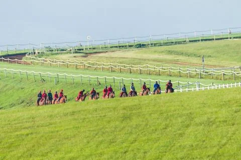 Race Horses Training Stock Photos