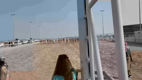 Race Starting Line Stock Footage 231039266