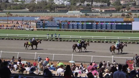 Race track pre race Stock Footage 49549193