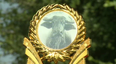 Race trophy details 2 Stock-Footage 485258