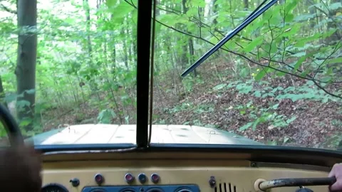 Race. View from the cab of the car. Old soviet car(off-road) in a forest Stock Footage 137013680