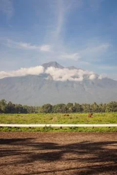 Racecourse field Foto stock