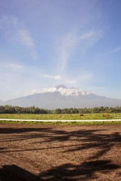 Racecourse field Stock Photos