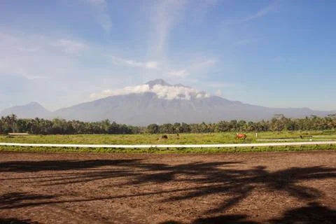 Racecourse field Stock Photos