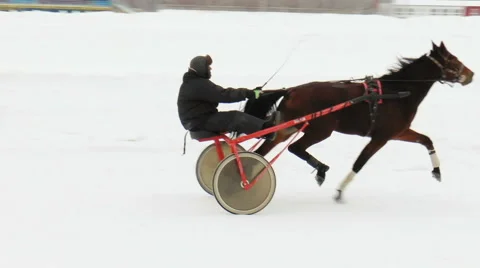 Racecourse. Free ride Stock Footage 68188675