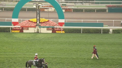 Racecourse race day Stock Footage 1006431