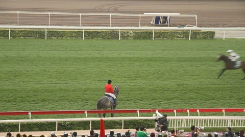 Racecourse race day Stock Footage 1014557