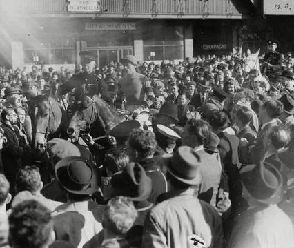 Racehorse 'lovely Cottage' After Winning The 1946 Grand National. Stock Photos