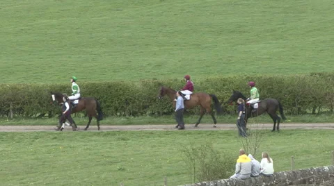 Racehorses being led to the start post. Stock Footage 50738547
