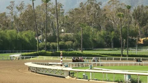 RACEHORSES ROUND FINAL TURN SLOW MOTION Stock Footage 10922792