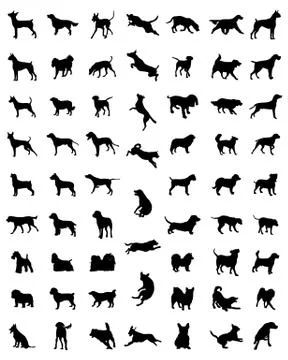 Races of dogs Stock Illustration