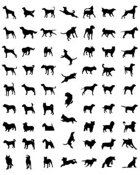 Races of dogs Illustrazione stock