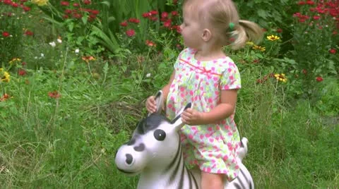 Races Stock Footage 11797853