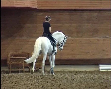 Racetrack Stockbeeldmateriaal 1066773