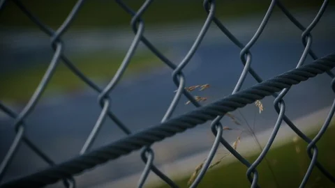 Racetrack surrounded by forest. Looking through fence Stock Footage 111427153