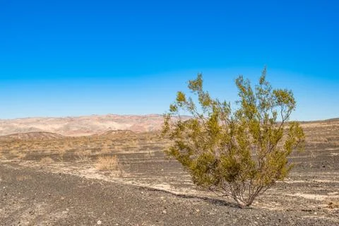Racetrack Valley Foto stock