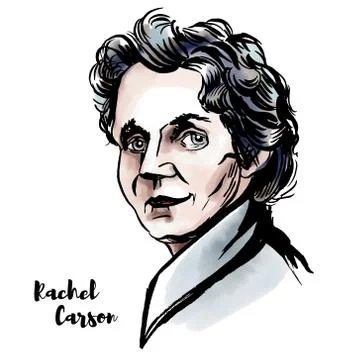 Rachel Carson Stock Illustration