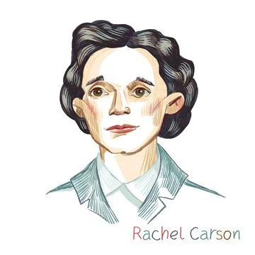 Rachel Carson portrait Stock Illustration