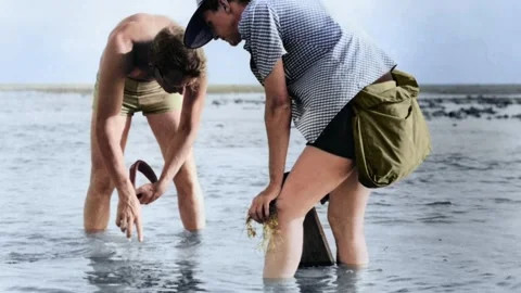 Rachel Carson (silent) Vídeo Stock 259318053