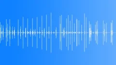 Rachet clicksSound Effect