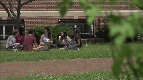 Racially-diverse students, sitting under tree, studying. Stock Footage 44117065