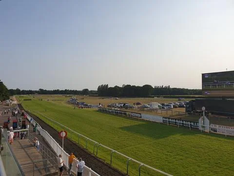 Racing Day 库存照片