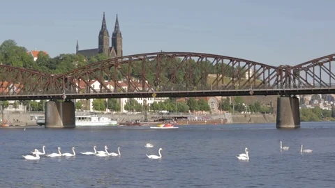 Racing eight-digit training on the Vltava River, near Vyšehrad in Prague Stock Footage 83652382