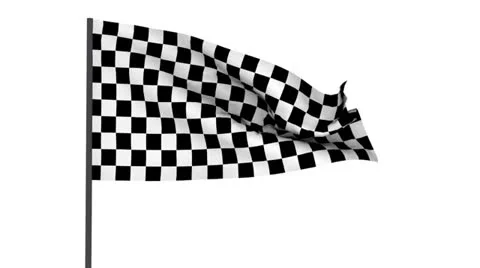 Racing flag Stock Footage 24613149