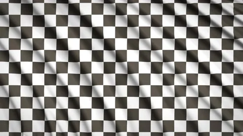 Racing flag Stock Footage 155548391