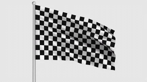 Racing Flag 動画素材 208957209