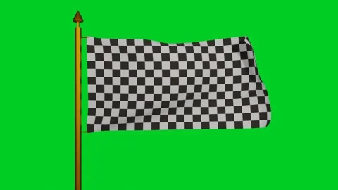 Racing flag waving 3D Render with flagpole and blue sky timelapse, Formula One Stock Footage 193171508