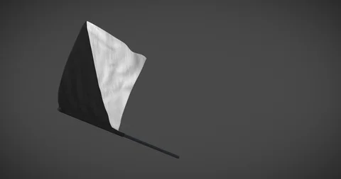 Racing flags - Per-bend black/white flag looping animation with alpha mask Stock Footage 101323649