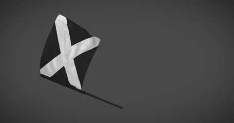 Racing flags - Black flag with white cross looping animation with alpha mask Stock Footage 101323666