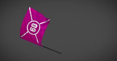 Racing flags - Code 60 flag looping animation with alpha mask Stock-Footage 101323453