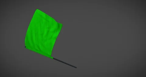 Racing flags - Green flag looping animation with alpha mask Stock-Footage 101323317