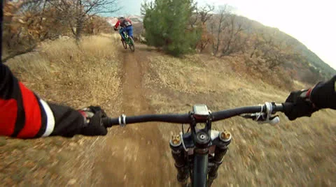 Racing in a forest Video stock 22480505