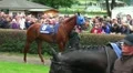 Racing Horse Presentation 20110816-140707 HD Footage