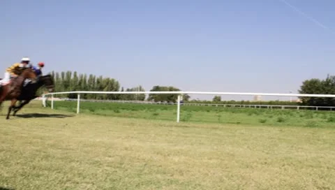 Racing horses. Stock Footage 8851582
