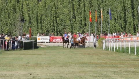 Racing horses. Stock Footage 8851602