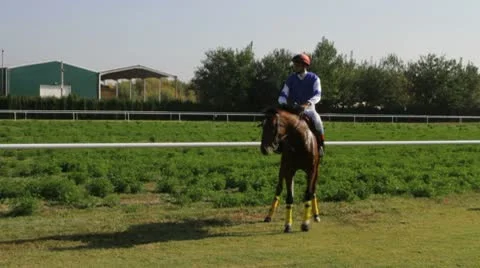 Racing horses. Stock Footage 8851778
