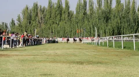 Racing horses. Stock Footage 8851797
