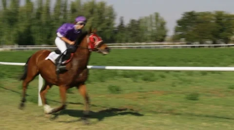Racing horses. Stock Footage 8851880