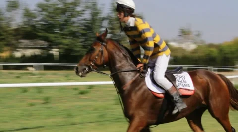 Racing horses. Stock Footage 8851881