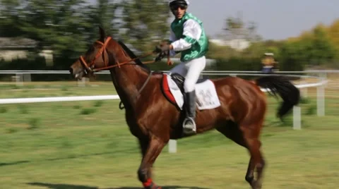 Racing horses. Stock Footage 8851958