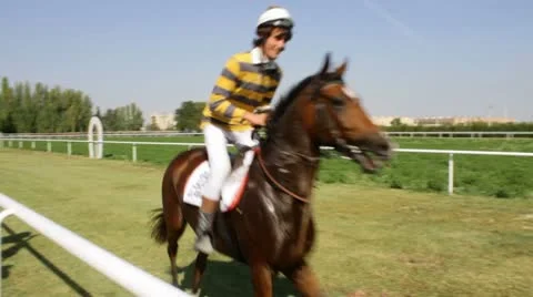 Racing horses. Stock Footage 8851963