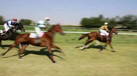 Racing horses. Vidéo 8851975