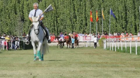 Racing horses. Stock Footage 8851998
