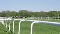Racing horses on race track passing by in actions 4k or 4k+ Resolution