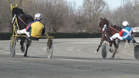 Racing horses trots on the track of stadium trotting horse racing competition Видео 166170553