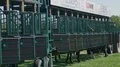 Racing horses waiting in start boxes for the run 4k or 4k+ Resolution